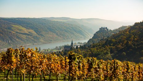 Blick über Oberwesel | © Henry Tornow