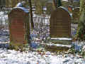 Marburg Friedhof 273.jpg (122103 Byte)