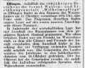 Esslingen GemZeitung Wue 01101931lkk.jpg (37395 Byte)