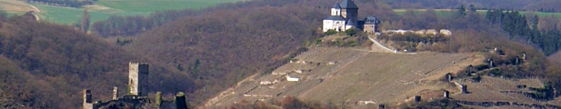 Auf einem lang gestreckten Felssporn über dem Moseltal, nahe der Gemeinde Kobern-Gondorf im Kreis Mayen-Koblenz haben die Nieder- und die Oberburg ihren Sitz. | Bild: Klaus Graf, wikipedia.org