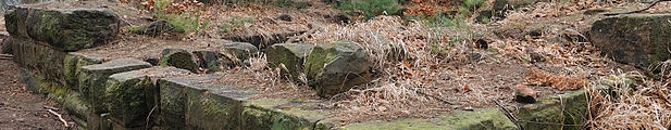 An der westlichen Stadtgrenze von Kaiserslautern-Hohenecken, mitten im Sickinger Wald, thront auf einem bewaldeten Bergkegel die Ruine der Perleburg.  | Bild: Ulli1105, wikipedia.org