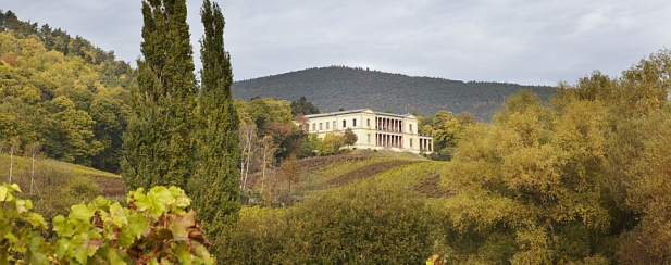 Schloss Villa Ludwigshöhe | Bild: GDKE