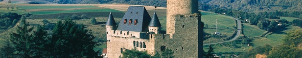 Burg Schwalbach