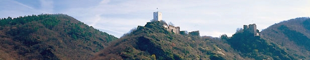 Burg Sterrenberg