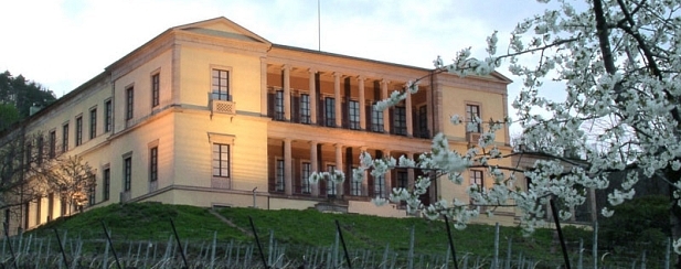 Schloss Villa Ludwigshöhe | Bild: GDKE