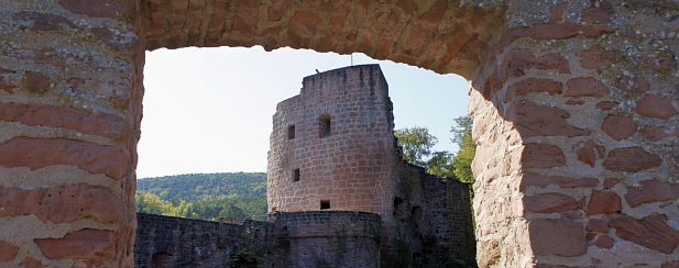 Schloss- und Festungsruine Hardenburg