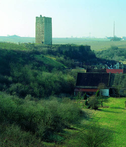 Westlich von Nierstein im Kreis Mainz-Bingen liegt die Ruine der Schwabsburg.