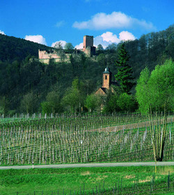 Die Burgruine Landeck zählt zu den besterhaltenen Pfälzer Burgen aus der Stauferzeit und zählt entgegen den meisten pfälzischen Burgen nicht zum Typus Felsenburg.