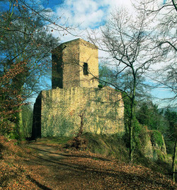 Die Burg Alt-Wolfstein war Teil des staufischen Wehrsystems des 12. Jh. Sie fungierte als Straßensperre und hatte die Aufgabe, den Verwaltungsbezirk um die Pfalz Lautern (Kaiserslautern) zu sichern.