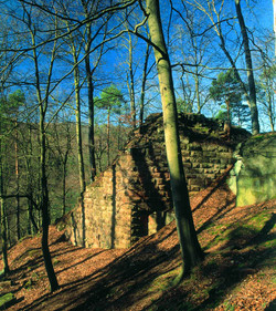 Die um 1200 erbaute Burg Lichtenstein gehörte zum staufischen Wehrsystem und hatte zur Aufgabe, die Straße Speyer-Kaiserslautern, die heute durch die B39 ersetzt wird, zu sichern.