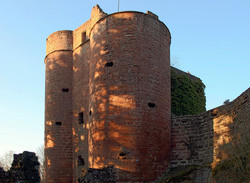 Burgruine Neu-Dahn | Bild: Wikipeder, wikipedia.org