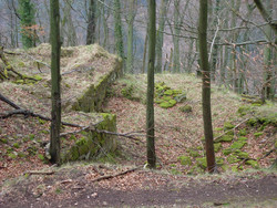 Die Burgruine Hohenfels befindet sich südlich vom Donnersberg auf einem 540 m hohen Berg in der Nähe der Gemeinde Imsbach. | Bild: Holger Labus, wikipedia.org