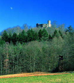 Auf einem bewaldeten Bergkegel erhebt sich die gut erhaltene Burgruine Gräfenstein, auch „Merzalbener Schloss“ genannt.