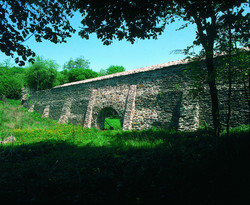 Reste der Mauereinfriedung der ehemaligen Klosteranlage Bärbach.