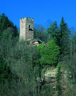 Die Burgruinen Alt- und Neu-Erfenstein liegen in einem Waldgebiet in der Nähe der Gemeinde Esthal im Kreis Bad Dürkheim.