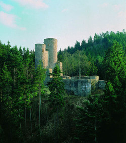 Einsam im Wald, in der Nähe der Gemeinde Frauenberg im Kreis Birkenfeld, liegt die noch gut erhaltene Ruine der Frauenburg.