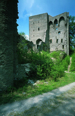 Etwa 4 km nördlich von Bad Ems, in der Nähe der Gemeinde Eitelborn im Westerwaldkreis, liegt mitten im Wald die Ruine der Sporkenburg.