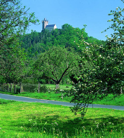 Hoch über dem Lahntal und der gleichnamigen Stadt thront die Burgruine Nassau (Rhein-Lahn-Kreis).