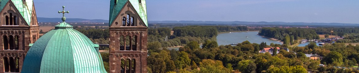 Dom zu Speyer Blick von der Aussichtsplattform im Südwestturm auf die Osttürme