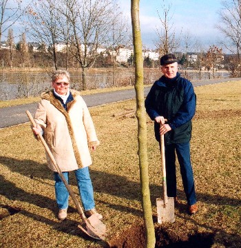 Baumpate Fußhüller