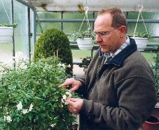 Der Pflanzendoktor bei der Arbeit