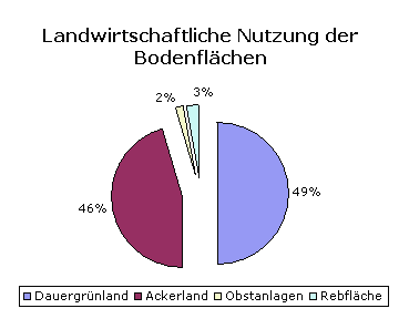 Grafik: Landwirtschaftliche Nutzung der Bodenflchen