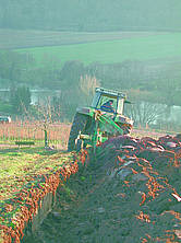 Rigolen eines Weinbergs