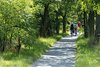 Rheinpromenade im Engerser Feld