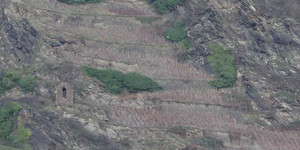 Von der Auflassung bedrohte, sehr steile  Rebterrassen am Mittelrhein