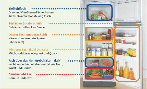 Schaubild "Was gehört im Kühlschrank wohin?", Foto: Dienstleistungszentrum Ländlicher Raum Westerwald-Osteifel