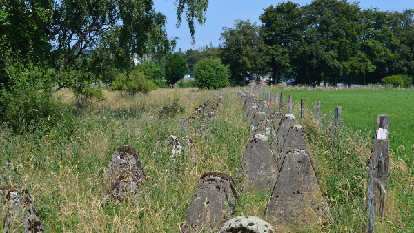 Höckerlinie des Westwalls