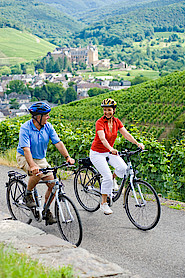 Radfahren auf dem Ahrradweg