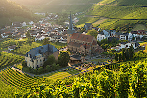 Weinort Mayschoß im Ahrtal