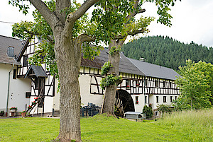 Hahnsteiner Mühle in Insul