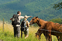 Menschen mit Pferden in Sierscheid