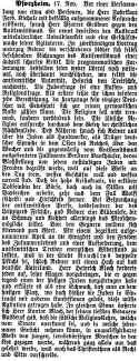 Pforzheim Israelit 19111891.jpg (208858 Byte)