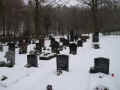 Ulm Friedhof 2010101.jpg (80506 Byte)