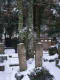 Ulm Friedhof 2010109.jpg (115199 Byte)