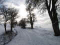 Berlichingen Friedhof 2010034.jpg (107975 Byte)