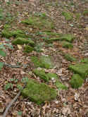 Merchingen Friedhof 155.jpg (141182 Byte)