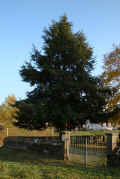 Bad Rappenau Friedhof GA 012.jpg (80770 Byte)