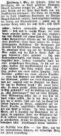 Freiburg Israelit 03031890.jpg (190009 Byte)