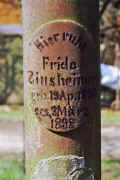 Assenheim Friedhof PICT0087A5_3V-IV16a.jpg (137906 Byte)