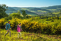 Veldenz Wanderweg Pfalz