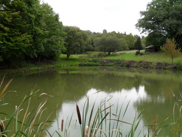 Ansicht Fischweiher