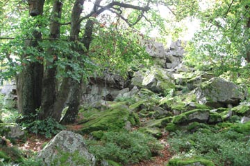 Aussicht von Kirschweiler Festung