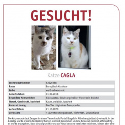 Profilbild von Cagla in Mönchengladbach vermisst 