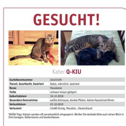 Profilbild von Q-Kiu in Sinzig vermisst 