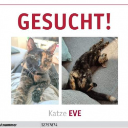 Profilbild von Eve in Kempenich vermisst 