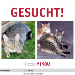 Profilbild von Minou in Burgbrohl vermisst 